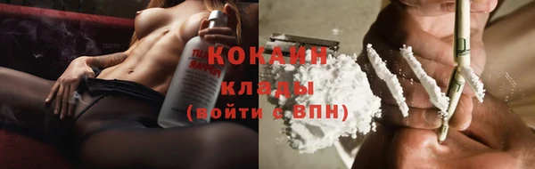 гидра Белая Холуница