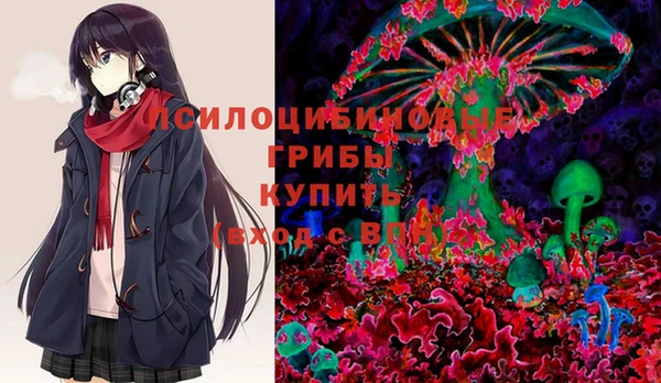 гидра Белая Холуница