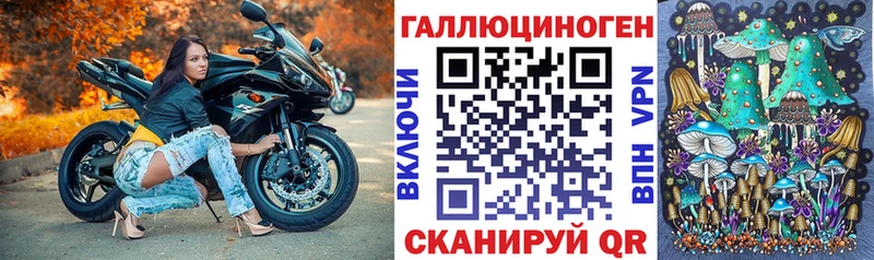 ссылка на мегу как зайти  Белоярский  Галлюциногенные грибы мицелий 